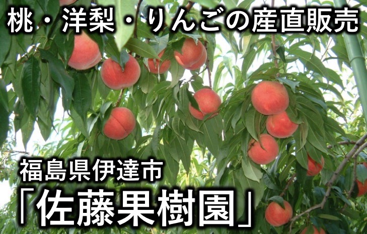 桃・洋梨・りんごの産直販売 福島県伊達市「佐藤果樹園」 | 逸品グルメ-IPPIN-