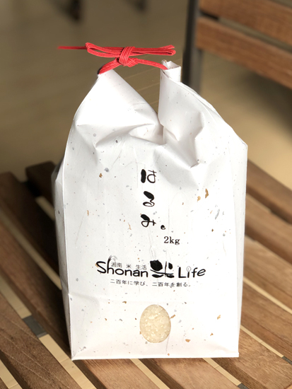 はるみ 神奈川県湘南のお米の特徴とは 特aランクの美味しさを紹介 逸品グルメ Ippin
