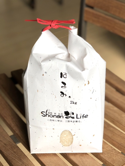 【はるみ】神奈川県湘南のお米の特徴とは？特Aランクの美味しさを紹介
