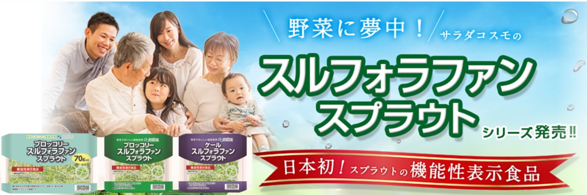 チコリはおしゃれな西洋野菜 フォルムを活かしてセンス良く使いたい 逸品グルメ Ippin