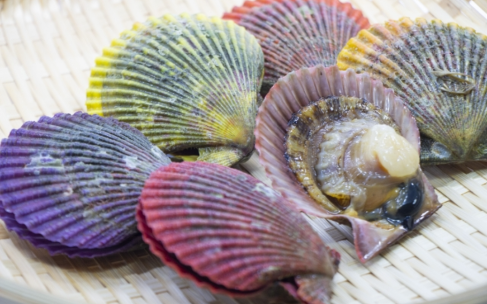 美しい虹色の殻 ホタテよりも濃厚な味わいの 緋扇貝 ひおうぎがい とは 逸品グルメ Ippin